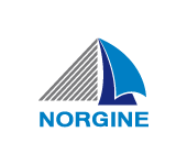 logo Norgine